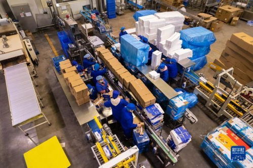 新華全媒 丨湖南寧鄉 食品企業加工忙