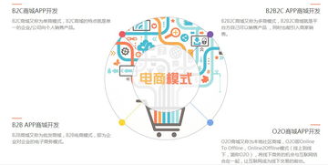 怎么定制開發(fā)電商商城app系統(tǒng)