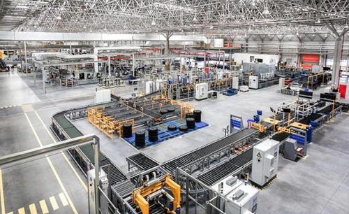 10歲穿黑衣被父母扔門口等死,成年拼來(lái)富豪人生,卻越有錢越痛苦