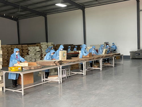 這是一道省委書(shū)記關(guān)注的必答題