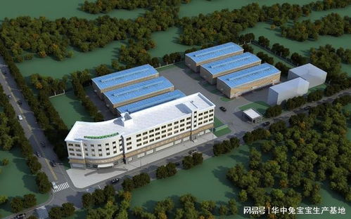 華中定制家具工廠oem招商批發代加工 華中兔寶寶生產基地