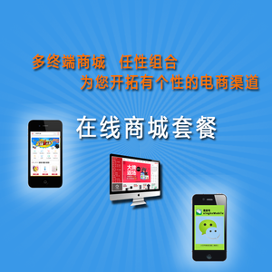 寶樂電商ERP系統 網絡商城的智能化管理與定制開發解決方案